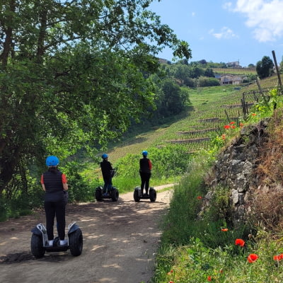 Balade en gyropodes